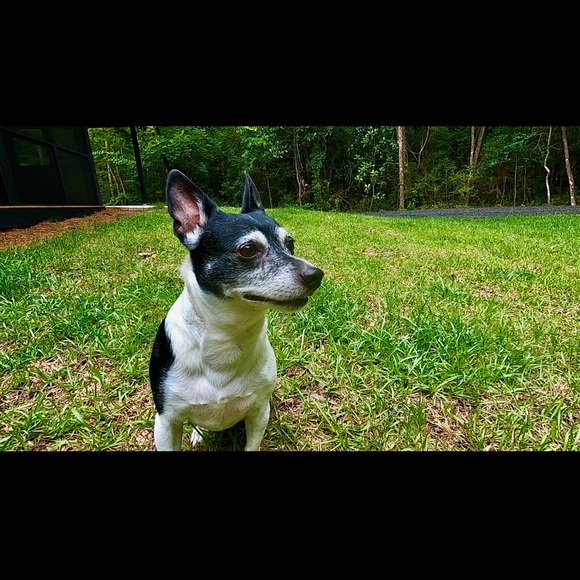 Meet Your Posher, Janice - Picture 6 of 8